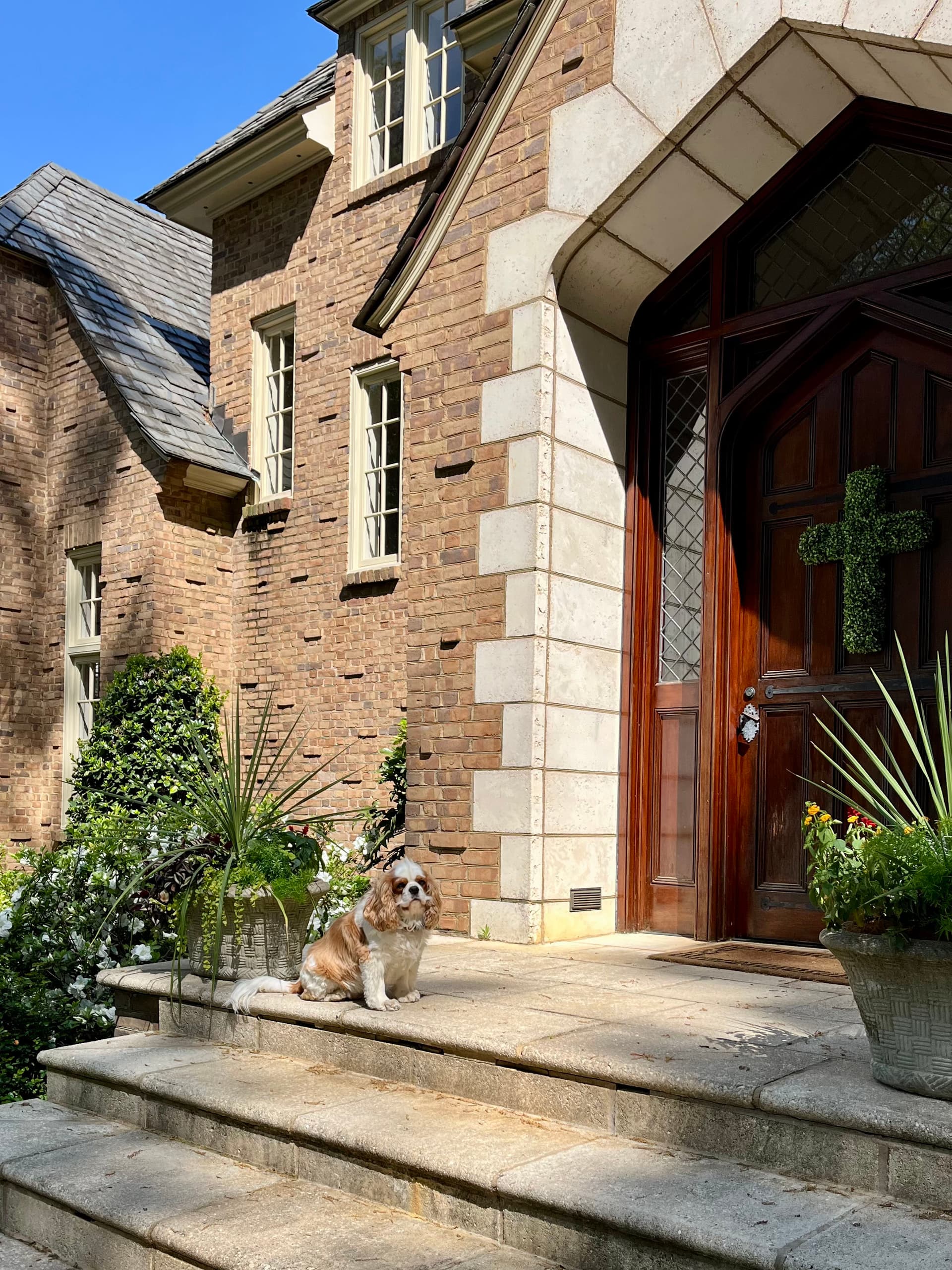 Gallery photos for Enhancing Home Views with Crystal-Clear Windows: Image #2